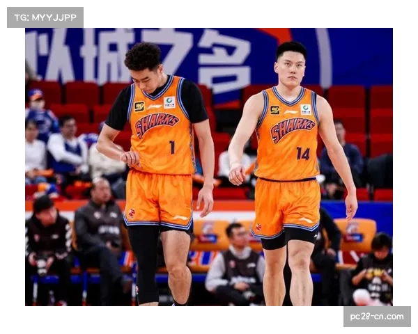 李添荣李弘权组上海双子星，合砍30.3分成连胜关键引擎